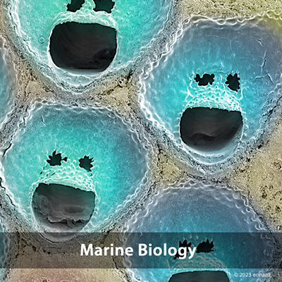 Marine Biology Photos