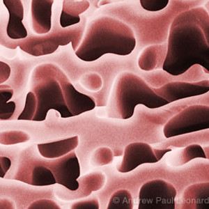 Subjects that look abstract