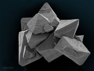 Kidney Stone Crystal Struvite  - Common in Cats